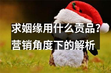 <h3>求姻缘用什么贡品？营销角度下的解析
