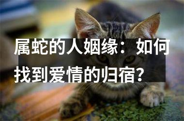 <h3>属蛇的人姻缘：如何找到爱情的归宿？