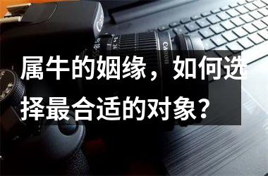 <h3>属牛的姻缘，如何选择合适的对象？