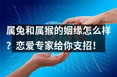 <h3>属兔和属猴的姻缘怎么样？恋爱专家给你支招！