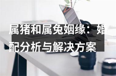 <h3>属猪和属兔姻缘：婚配分析与解决方案