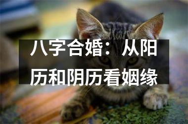 <h3>八字合婚：从阳历和阴历看姻缘