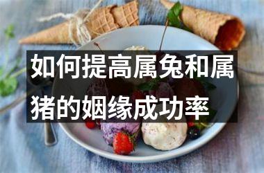 <h3>如何提高属兔和属猪的姻缘成功率