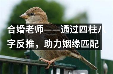 <h3>合婚老师——通过四柱八字反推，助力姻缘匹配