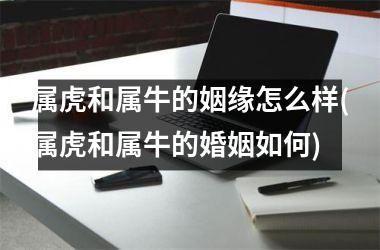 属虎和属牛的姻缘怎么样(属虎和属牛的婚姻如何)