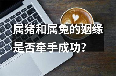 <h3>属猪和属兔的姻缘是否牵手成功？