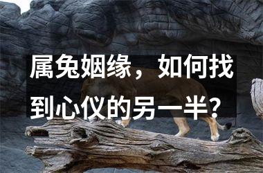<h3>属兔姻缘，如何找到心仪的另一半？
