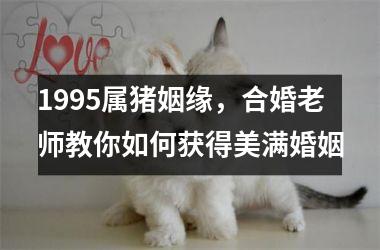 <h3>1995属猪姻缘，合婚老师教你如何获得美满婚姻