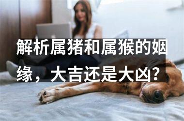 <h3>解析属猪和属猴的姻缘，大吉还是大凶？