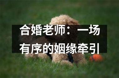 <h3>合婚老师：一场有序的姻缘牵引