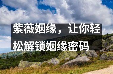 紫薇姻缘，让你轻松解锁姻缘密码
