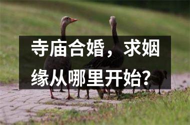 <h3>寺庙合婚，求姻缘从哪里开始？
