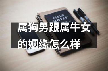 <h3>属狗男跟属牛女的姻缘怎么样