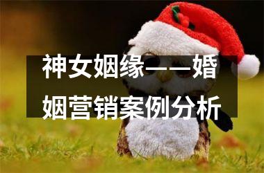 <h3>神女姻缘——婚姻营销案例分析