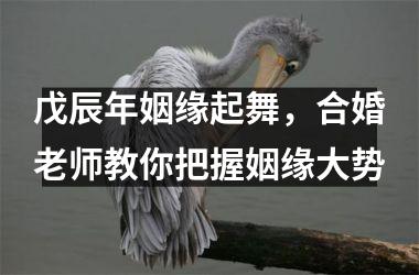 <h3>戊辰年姻缘起舞，合婚老师教你把握姻缘大势