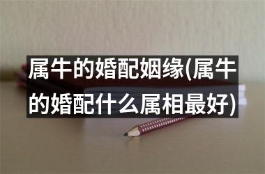<h3>属牛的婚配姻缘(属牛的婚配什么属相好)