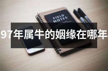 97年属牛的姻缘在哪年