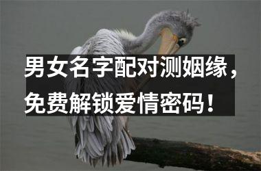 <h3>男女名字配对测姻缘，免费解锁爱情密码！
