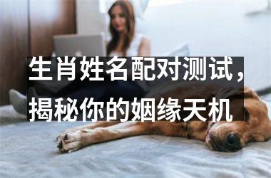 <h3>生肖姓名配对测试，揭秘你的姻缘天机