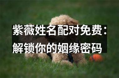 <h3>紫薇姓名配对免费：解锁你的姻缘密码