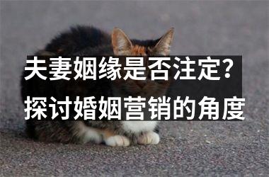 夫妻姻缘是否注定？探讨婚姻营销的角度