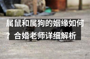 <h3>属鼠和属狗的姻缘如何？合婚老师详细解析