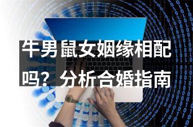 牛男鼠女姻缘相配吗？分析合婚指南