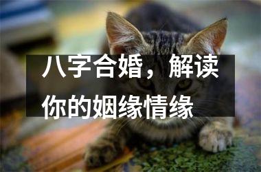 <h3>八字合婚，解读你的姻缘情缘