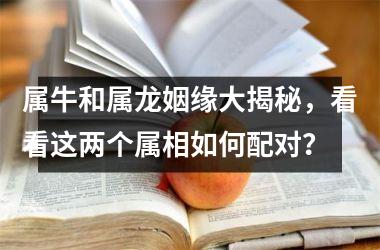 <h3>属牛和属龙姻缘大揭秘，看看这两个属相如何配对？