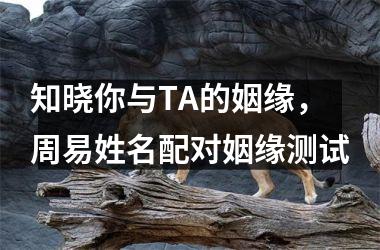 <h3>知晓你与TA的姻缘，周易姓名配对姻缘测试