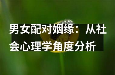 男女配对姻缘：从社会心理学角度分析