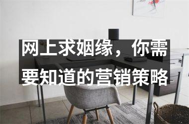 <h3>网上求姻缘，你需要知道的营销策略